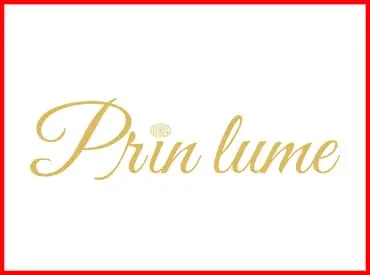 Logo client Tipografia Gamma Print Brasov | Tipografia Gamma Print | Tipografie Brasov | Produse conferințe | Ambalaje
